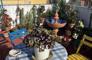 Arco MacarenA - Foto 39