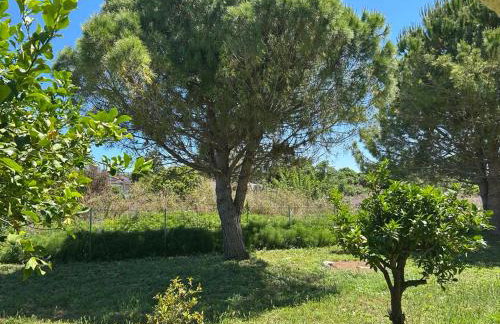 Tiny Comfort House - Foto 13