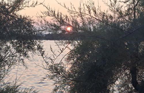 Apartments Gardelin Paklenica - Photo 51