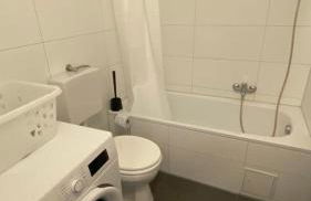 MSC Lampertheim - Foto 10