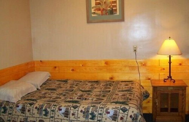 Golden Bear Cottages - Foto 17