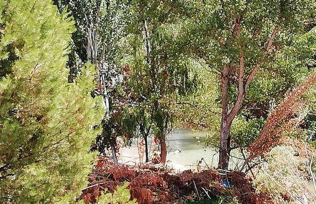 Casa Rural Puente Del Segura B - Foto 39