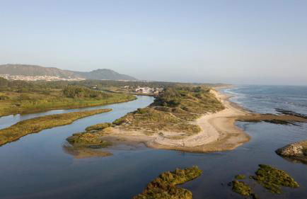 Quinta do Monteverde - Foto 39