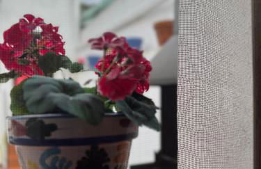 Casa Rosalía - Photo 7