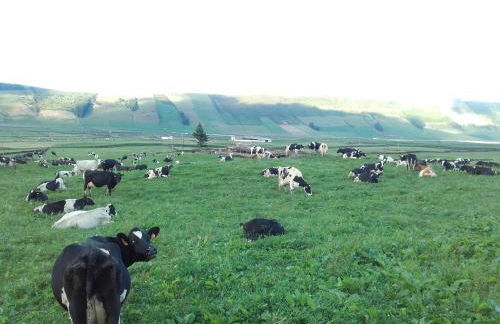 Vivenda Cinco Reis - Photo 32