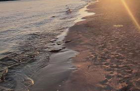 Bed & Relax - Foto 36