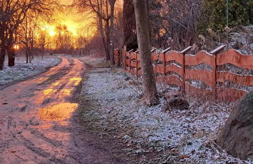 Dziki brzeg Jezioraka - Foto 41
