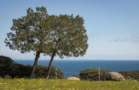 My Way Kavos Villa - Foto 67