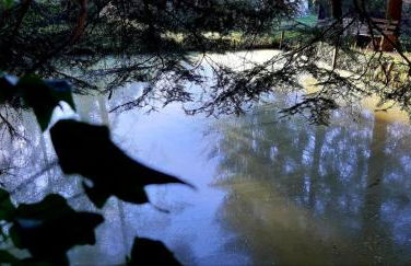 Wonderworld - Foto 41