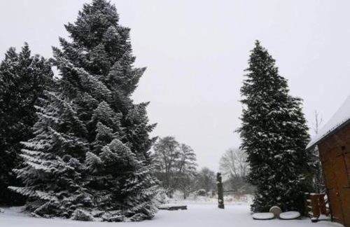 Holiday Home in Germany With Terrace - Foto 66