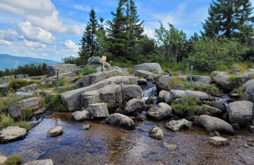 Apartament Nina - Foto 63