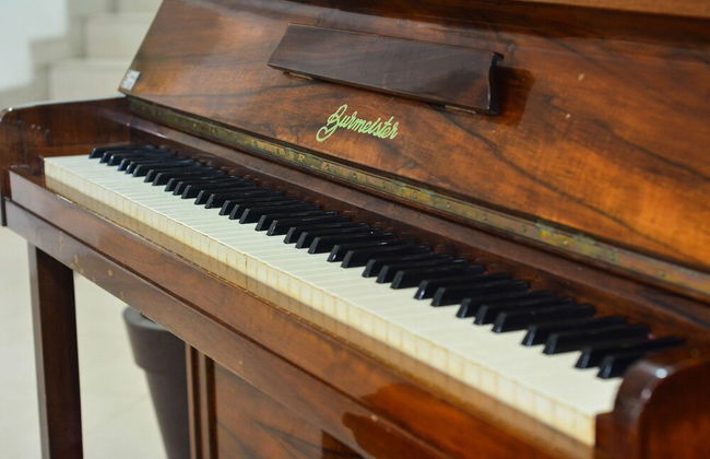 Casa na Barra da Lagoa - Photo 36