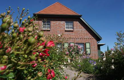 Atelierwohnung Götze - Foto 5