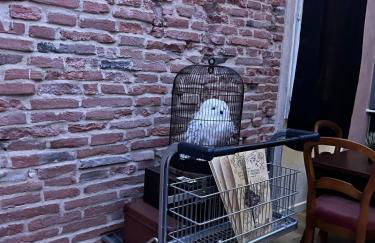 Le Refuge mysterieux d'Harry proche Gare Toulouse - Foto 9