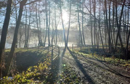 Ferienhof Kchischowka - Foto 17