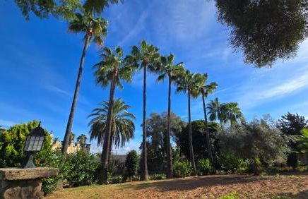 Castell Villa Bohío Mallorca - Foto 36