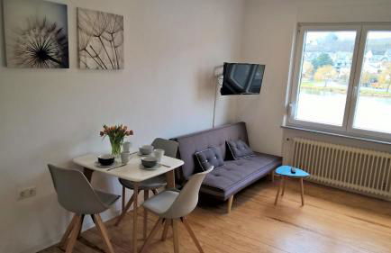 Mosel Ausblick - Foto 7