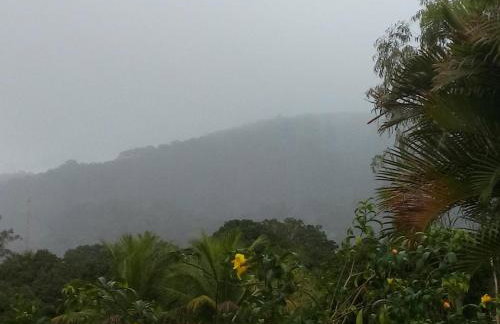 Rancho Refugio Verde AL - Foto 15