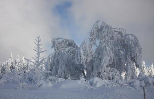Ferienwohnung Kuckuckslockennest - Foto 16