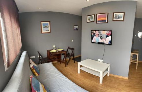 Apartamento Plaza Viuda - Foto 8