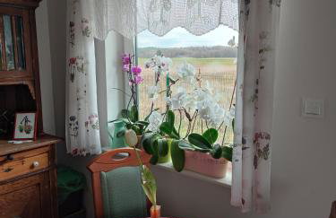 Zielona Przystań - Foto 34