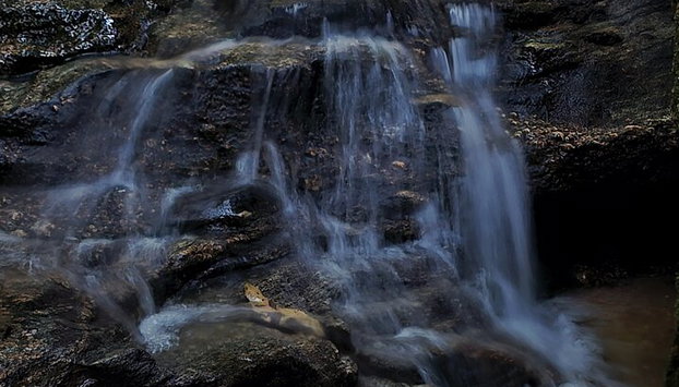 Visita guiada al bosque de Tijuca para grupos pequeños - Foto 2