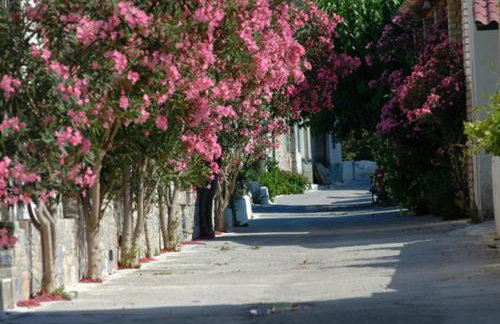 Veroniki Studios - Foto 13