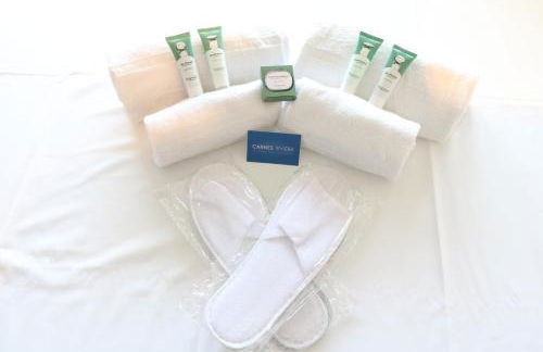 Luxury 1 bedroom Quai St Pierre 2 mins from the Palais & Croisette 269 - Photo 15