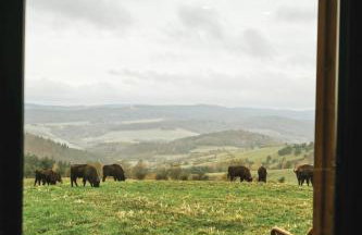 Chaty w chmurach - Foto 16