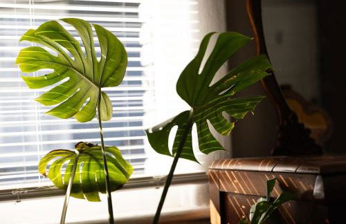 Southern Charm & Modern Comfort - Foto 54