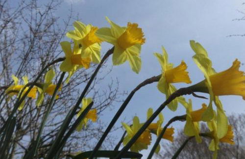 Wales' Highest Village - The Chartist Cottage - Trefil - Photo 37