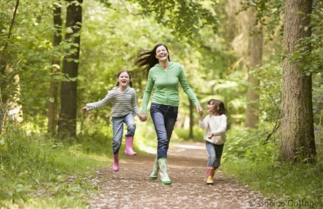 Braunton April Cottage 3 Bedrooms - Foto 19