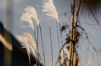 Domek na Kaszubach z jacuzzi i sauną, jezioro, las, Kaszuby, Widokownia Bukowinki - Foto 19