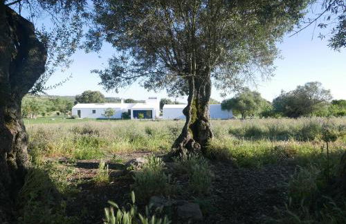 Casa do Vale da Terra Negra - Foto 30