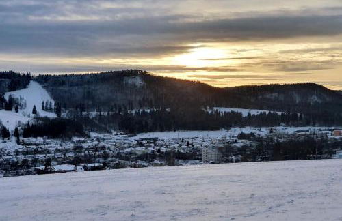 Studiowohnung SchwabenALB mit Panoramablick - Foto 40