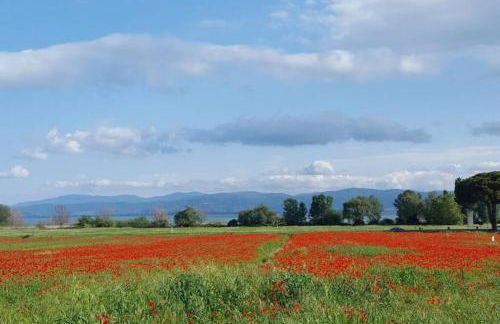 Bellavista la tua romantica vacanza sul Trasimeno - Foto 51