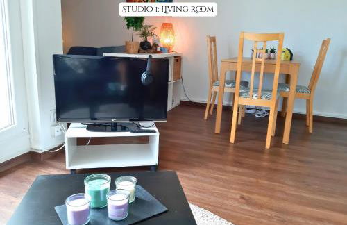 2 Soundproof Fully Equipped Studios near Geneva Airport - Photo 13