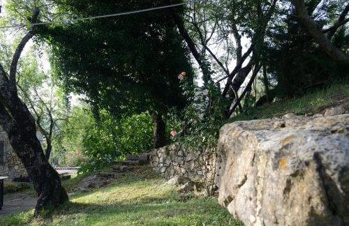 Agriturismo Le Cerinaie - Foto 58