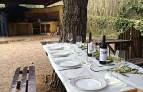 La Ginesta Rural, cerca de Sitges - Foto 10