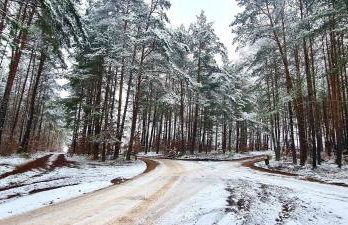 Domek de Janauis - Foto 77