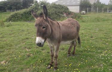 La hervuerie - Foto 8