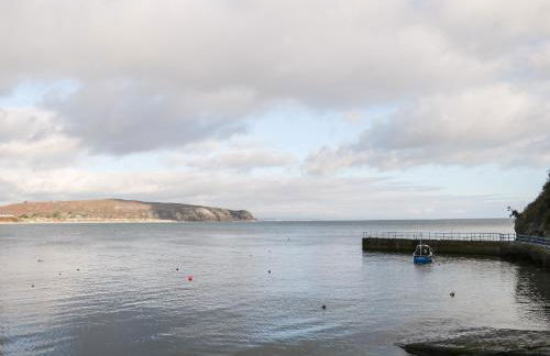 One Dolfor - Photo 36