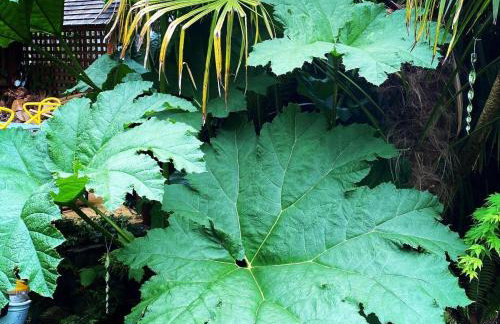 Luxury Central Hale living - Foto 3