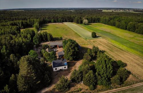 Kolorowe Wzgórze agroturystyka i konie - Foto 1