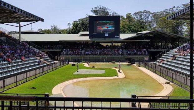 Recinto para o espetáculo com crocodilos