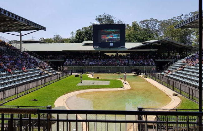 Excursão ao Australia Zoo - Foto 5