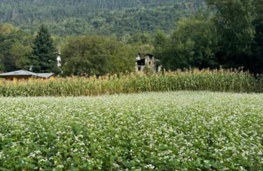 tegliohomevaltellina - Foto 35