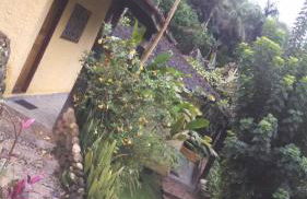 Ouro Grosso Chales - Foto 28