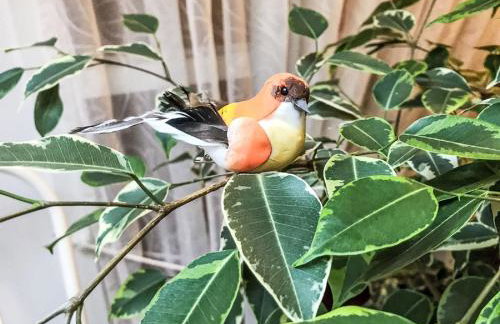 Holiday Home The Pump by Interhome - Foto 42