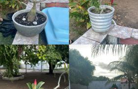 Chácara Soares Melo - Foto 56